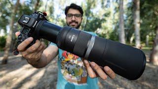 BEST Budget Wildlife Photography Lens? Canon RF 800mm f11 Lens Review