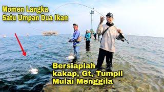 Ini Dia Momen Dimana Ikan Dam Ijo Menggila Auto Diserbu Pemancing