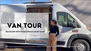 van tour traveling with 3 dogs in a promaster conversion