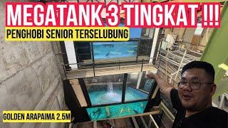 KOLEKTOR LAWAS  MEGATANK GOLDEN ARAPAIMA 2.3M - TERSELUBUNG MEGATANK 3 LANTAI DI GUDANG BESI