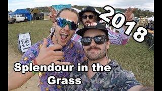 Splendour in the Grass 2018