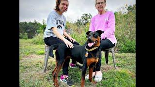 Molly Adoption Movie TracysPawsRescue Saving dogs in south Texas and along the border of Mexico