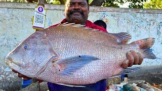 KASIMEDU  SPEED SELVAM  BIG KORALI FISH CUTTING VIDEO  IN KASIMEDU  FF CUTTING 