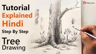 Full Explained Tutorial How To Draw and Shade Tree Trunk Step By Step with Pencil  Drawing Class 12