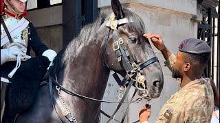 Royal Resilience A Noble Steeds Cool Retreat on a Scorching London Day