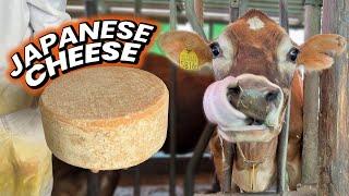 Japanese Cheese Makers Dairy Farm Experience