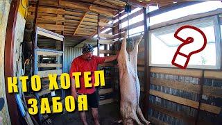 Обзор участка свиноводов 2021  забой свиньи 2021  Коптим грудинку  Cлучайные свиноводы