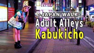 Japan Walk Kabukicho at late night Adult Red Light District back alley in Shinjuku Tokyo｜歌舞伎町 4K