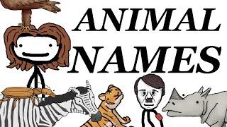 Where Animals Scientific Names Come From