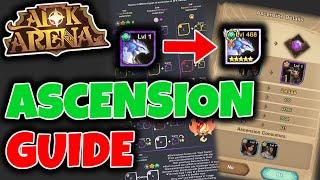 HERO GROWTH ASCENSION ULTIMATE GUIDE AFK ARENA Beginners Guide