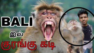  MONKEY SELFIE WENT WRONG IN BALI   TRAVEL VLOG TAMIL  MONKEY ATTACK  TAMIL  TRAVELING TAMIZHAN