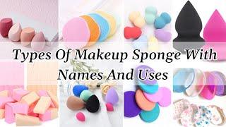 Types of makeup sponge with names and uses Makeup sponge names Types of beauty blender