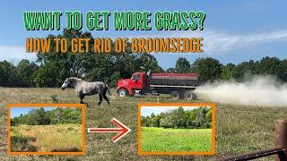 Pastures Need LIME Farming and Ranching