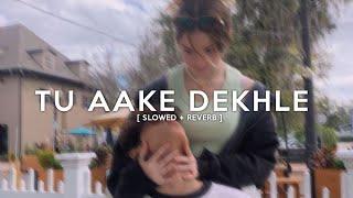 King - Tu Aake Dekhle  slowed + reverb   Midnight Lofi