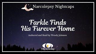 Narcolepsy Nightcaps Farkle Finds His Furever Home