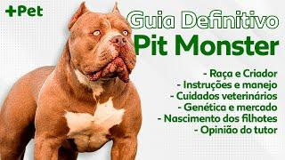 GUIA DE RAÇAS COMPLETO SOBRE O PIT MONSTER  CANAL MAIS PET