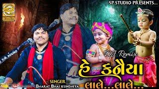 હે... કનૈયા લાલે... લાલે...  Super hits New Dj Zulna  Bharat Bhai kundhiya  @SP.STUDIO