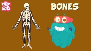 Bones  The Dr. Binocs Show  Learn Videos For Kids