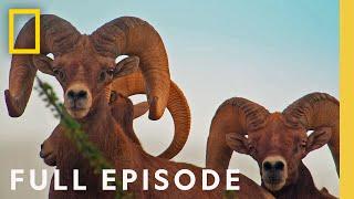 Big Bend In the Heart of Texas Full Episode  Americas National Parks