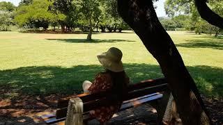 Exploring the Pretoria Botanical Gardens