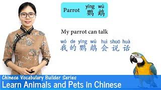 Learn Animals and Pets in Mandarin  Vocab Lesson 11  Chinese Vocabulary Builder Series