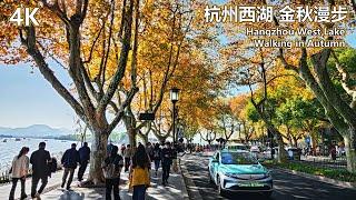 4K Hangzhou West Lake Golden Autumn Moments  Wulin Road Fengqi Road Beishan Street  杭州西湖 金秋时分