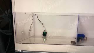 Loraffe UltrasonicStrobe Rodent Repellent in Action