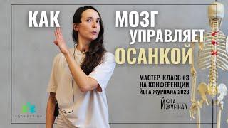 Как НЕРВНАЯ СИСТЕМА управляет вашей ОСАНКОЙ Мастер-класс на Конференции Йога журнала 2023г #3