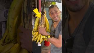 Mereka menemukan pisang terbesar di dunia
