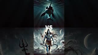 Shiva vs Animals vs Vishnu T Rex Dinosaur Lion Orca Elephant Rhino