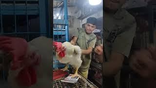 Big Chicken Cutting  Foodie Man  BD Chicken Cutting  Chicken Cutting #shorts