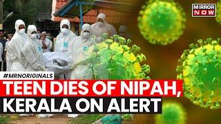 Nipah Virus  Nipah Outbreak Kills A Teen In Kerala  Whats The Situation?  Kerala News