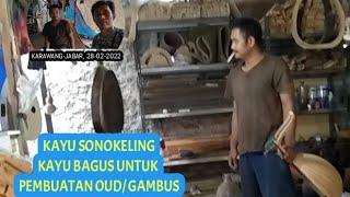 MENGINTIP PROSES PEMBUATAN OUD GAMBUS