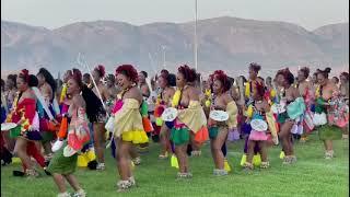 KING MSWATI CHOOSES A NEW WIFE 2022? SWAZILAND UMHLANGAREED DANCE 2022. WHAT A COLOURFUL CEREMONY.
