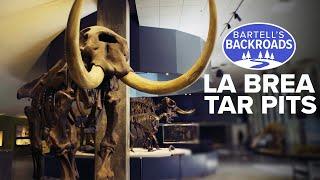 The hidden beasts preserved in LAs La Brea Tar Pits  Bartells Backroads