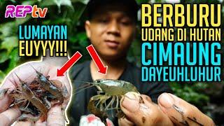 BERBURU UDANG DI HUTAN CIMAUNG DAYEUHLUHUR - Konten Gabut