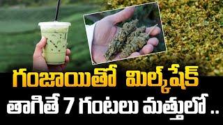 గంజాయితో మిల్క్ షేక్Ganja Milk Shake Racket Busted In Hyderabad   @2day2morrowkingmaker