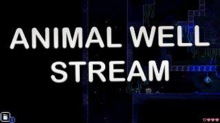 Animal Well Stream