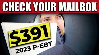 NEW $391 P-EBT FULL LIST 2023 Check Your Mailbox