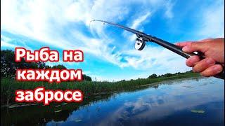 Рыбалка на ПОПЛАВОК в кувшинках Рыбалка  из детства