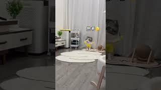 #videolucu #cat #kucinglucu #kucing #catlover #funny #funnyanimals #lucu