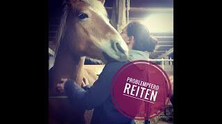 unreitbares Pferd reiten  Problempferd  Verhaltenstherapie