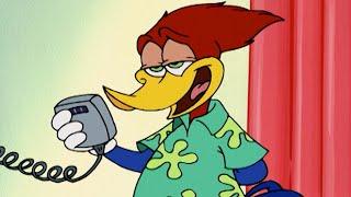 Woody Woodpecker  Woody Flies First Class + More Full Episodes