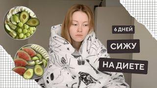 6 дней ада или как я села на диету  ДИЕТА ЛЮБИМАЯ