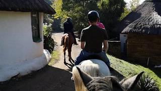 Wyndford Holiday Farm   Horse Ride