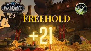 +21 Freehold - bfa 8.3 mythic+ - Outlaw rogue