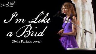 Taylor Swift - Im Like a Bird Cover Live on the Speak Now World Tour