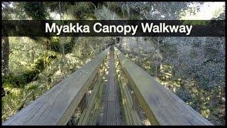 Myakka River State Park - Canopy Walkway