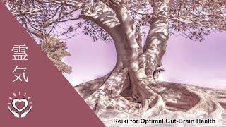 Reiki for Optimal Gut Brain Health  Energy Healing for the Gut-Brain Axis