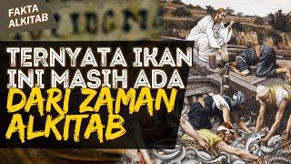 TERNYATA INI IKAN YANG TERKENAL DIKALANGAN BANGSA ISRAEL DARI ZAMAN ALKITAB  #faktaalkitab